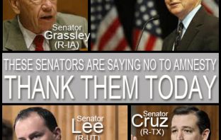 Thank you for opposing the Gang of Eight
