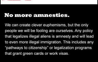 True Immigration Reform: No More Amnesties