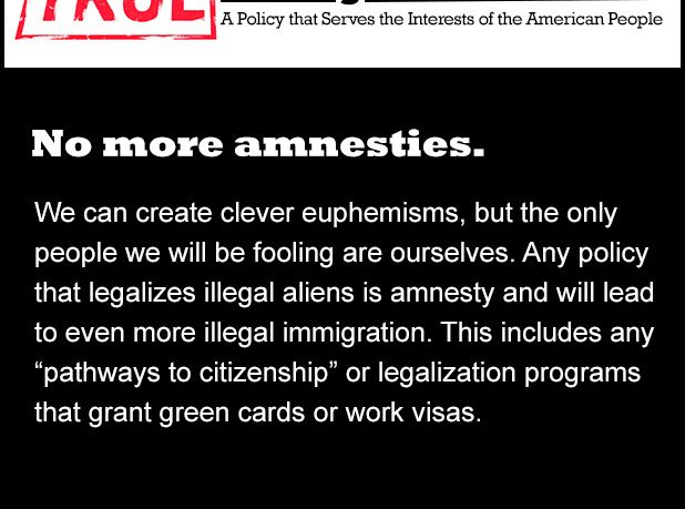 True Immigration Reform: No More Amnesties