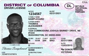Can You Spot the Difference? DC Driver's License for Illegal Aliens