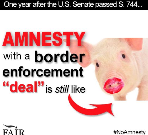Amnesty with a border enforcement deal is still like lipstick on a pig.
