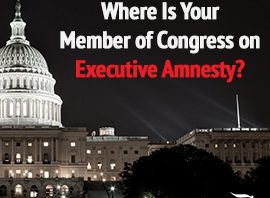 Where Does Your Member of Congress Stand on Executive Amnesty?