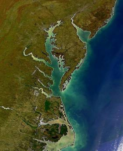 chesapeake_bay_sattelite