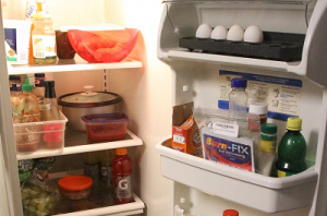 Actual photo of terrorist refrigerator