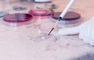 Virus Outbreaks Highlight Troubling Health Risks of Illegal Immigration
