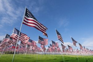 Field of American Flags