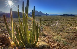 #NPS100 – America’s National Parks Under Assault by Smugglers