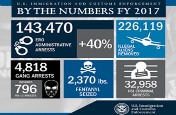 DHS 2017 statistics