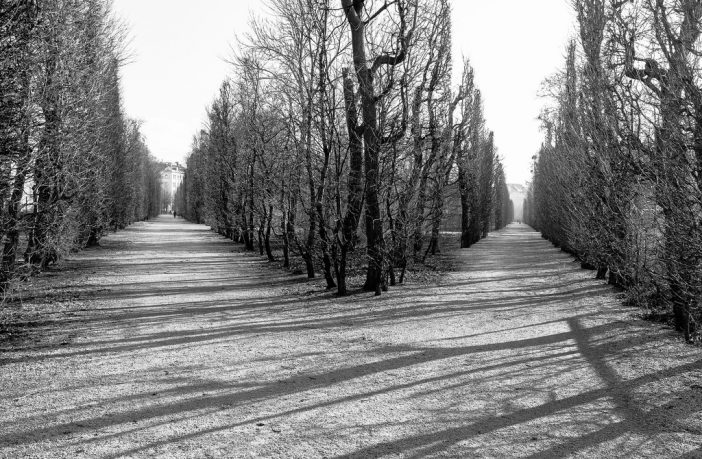 fork in the road