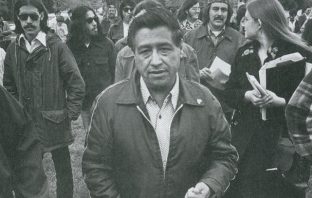 The Real Cesar Chavez has Been Lost to the Open Borders Myth Makers