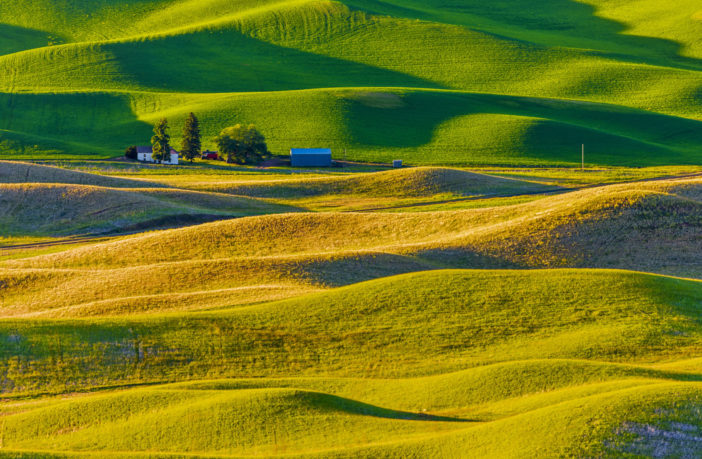 Rolling farm landscape with cultivated crops in the Palouse region of Washington State