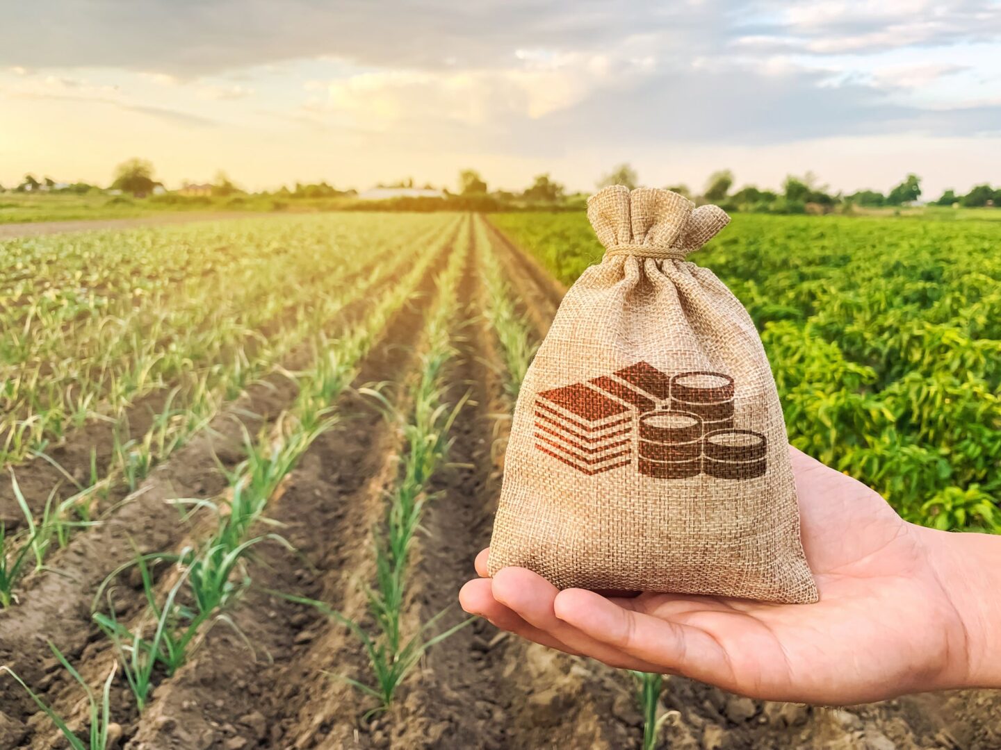 Que significa farming Que significa farming