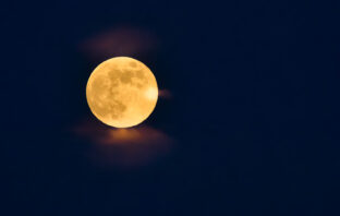 Open Borders Radicals See a Bad Moon Rising. Let’s Hope They’re Right
