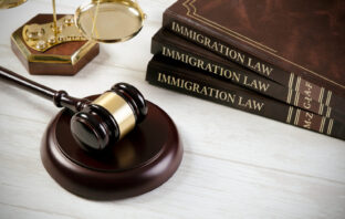 House Democrats Take Aim at the Nation’s Immigration Courts
