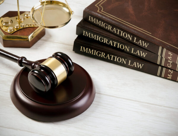 House Democrats Take Aim at the Nation’s Immigration Courts