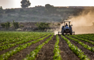 Our Agriculture Needs Innovation, Not Mass Immigration